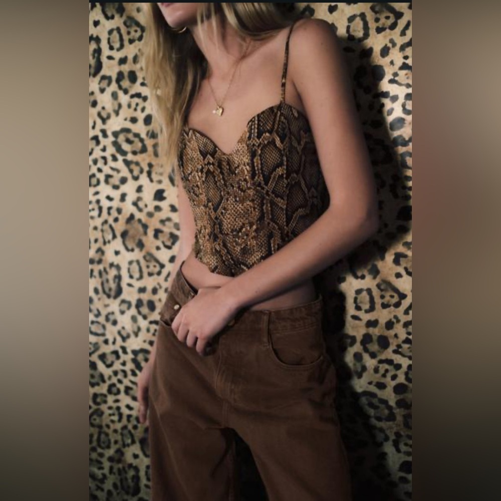 Zara Snake Print Crop Top